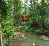 The Canopy Rainforest Treehouses and Wildlife Sanctuary - Tourism Hervey Bay