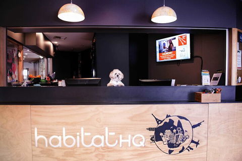 Habitat HQ - Hostel - Hervey Bay Accommodation 3