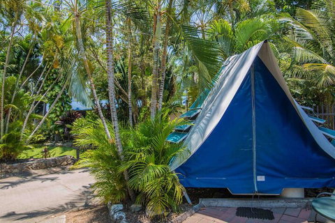 Tasman Holiday Parks - Airlie Beach - Hervey Bay Accommodation 5