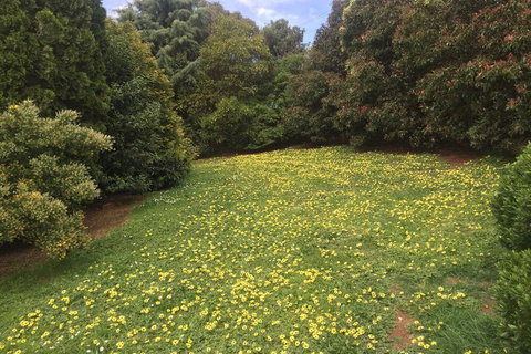 Warragul Views Motor Inn - Tourism Hervey Bay 2