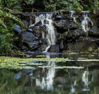 Kondalilla Eco Resort - Hervey Bay Accommodation