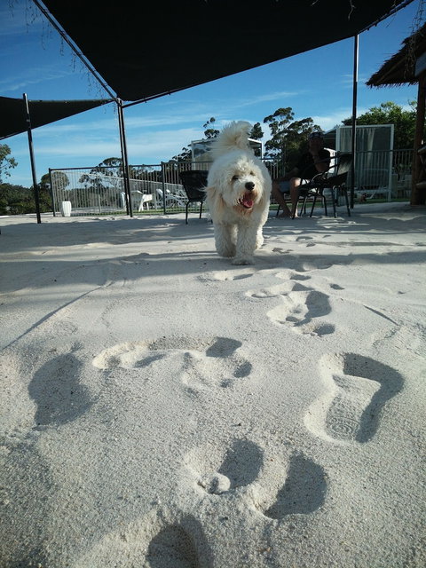 Clare Valley Motel - Hervey Bay Accommodation 5