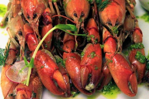 Kooljaman At Cape Leveque - Hervey Bay Accommodation 2