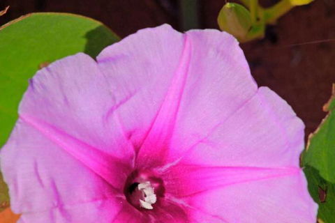 Kooljaman At Cape Leveque - Hervey Bay Accommodation 6