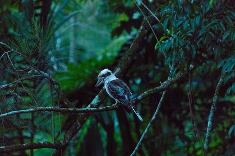 Broken River Mountain Resort - Hervey Bay Accommodation 0