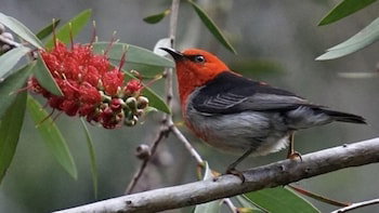 Broken River Mountain Resort - Hervey Bay Accommodation 3