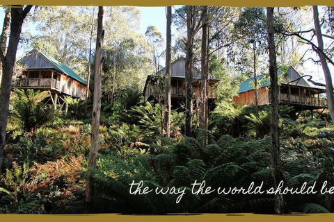 Lemonthyme Wilderness Retreat - Hervey Bay Accommodation 5