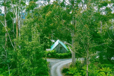Lemonthyme Wilderness Retreat - Hervey Bay Accommodation 1
