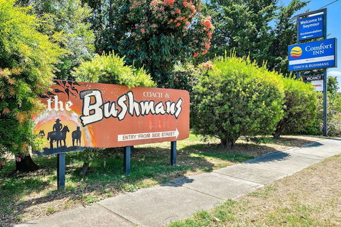 Comfort Inn Coach And Bushmans - Hervey Bay Accommodation 4