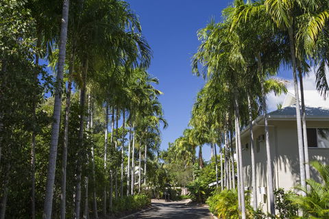Port Douglas Plantation Resort - Tourism Hervey Bay 0