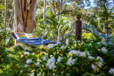 Sensom Luxury Bed & Breakfast - Hervey Bay Accommodation 3