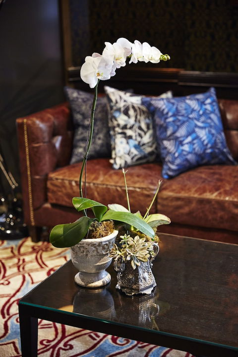 View Brisbane - Tourism Hervey Bay 0