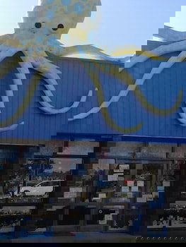 Banjo Paterson Motor Inn - Hervey Bay Accommodation 3