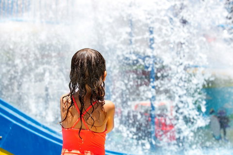 Paradise Resort Gold Coast - Hervey Bay Accommodation 5