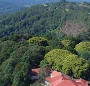 Mayfield on Montville - Hervey Bay Accommodation