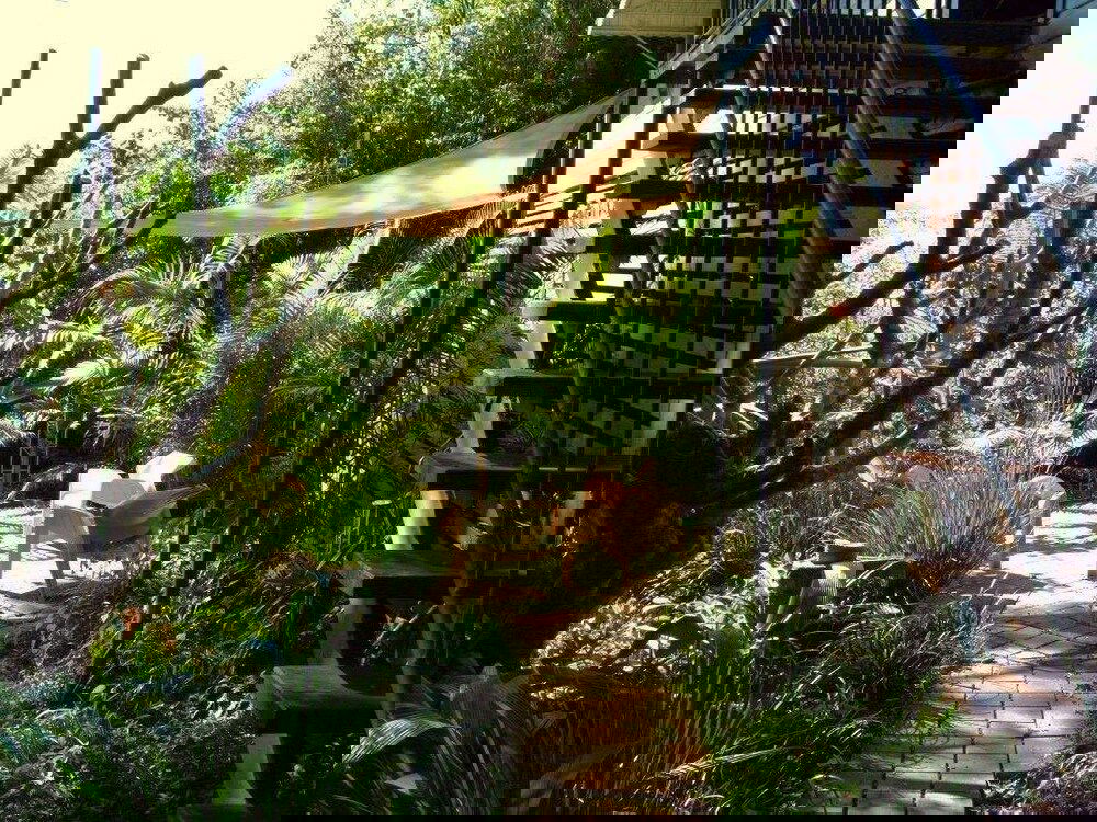 Leycester NSW Tourism Hervey Bay