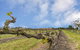 Barossa Vineyard Guesthouse - thumb 5
