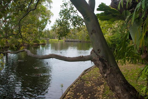 Northlakes Studio - Tourism Hervey Bay 4