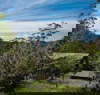 Buttercuphill BB - Hervey Bay Accommodation