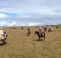 Susan River Homestead - Tourism Hervey Bay