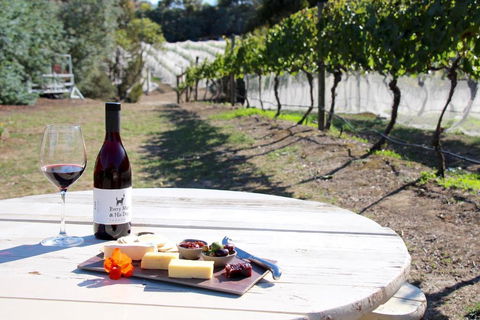 Every Man & His Dog Vineyard - Hervey Bay Accommodation 3