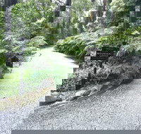 Mountain Lodge - Hervey Bay Accommodation