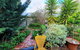 Little Para Cottage - thumb 2
