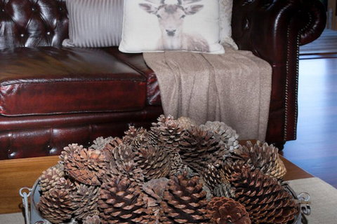 Drom Aluinn B & B - Hervey Bay Accommodation 4