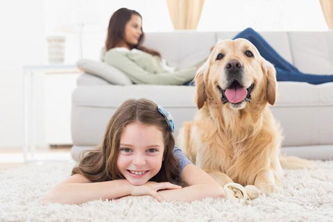 Boutique Stays Contempo - Hervey Bay Accommodation 2