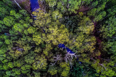 Saintys Creek Cottage - Tourism Hervey Bay 4