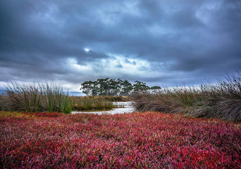 Saintys Creek Cottage - Tourism Hervey Bay 0
