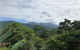 Mossman Gorge Bed & Breakfast - thumb 5
