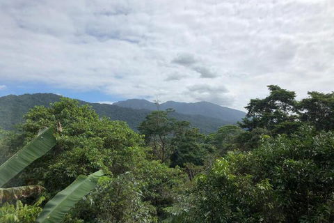 Mossman Gorge Bed & Breakfast - Tourism Hervey Bay 5