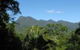 Mossman Gorge Bed & Breakfast - thumb 0