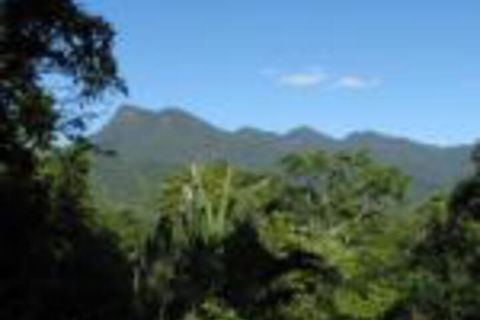 Mossman Gorge Bed & Breakfast - Tourism Hervey Bay 0