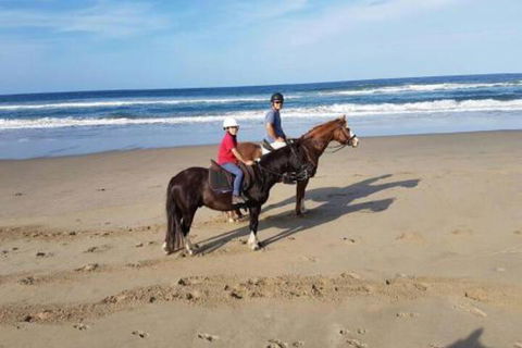 Nautica - Tourism Hervey Bay 1