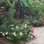 Maldons Eaglehawk Motel - Hervey Bay Accommodation 0