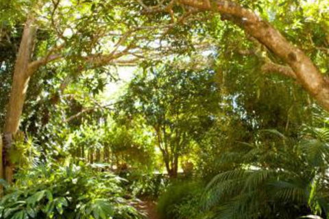Taman Sari Private Pavilions - Hervey Bay Accommodation 3