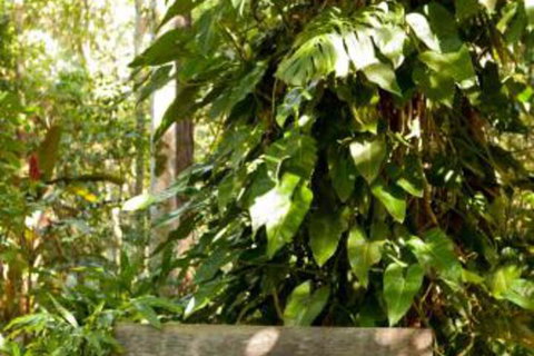 Taman Sari Private Pavilions - Hervey Bay Accommodation 4
