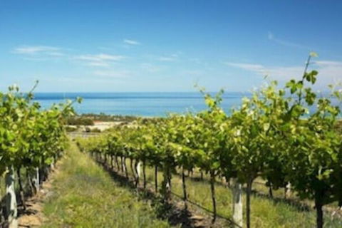 McLaren Vale Backpackers - Hervey Bay Accommodation 6