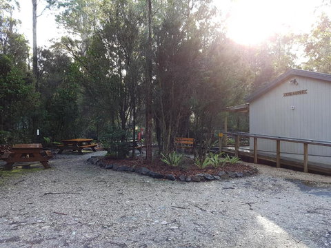 Tahune Air Walk Lodge - Hervey Bay Accommodation 3