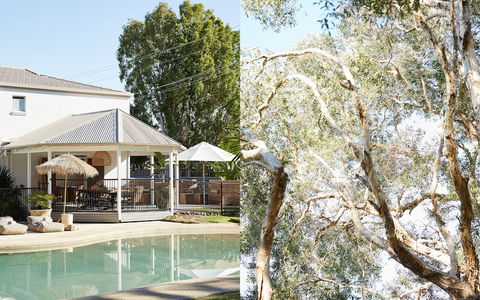 The Brunswick, Brunswick Heads - Tourism Hervey Bay 1