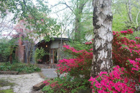 Rocky Creek Art Garden B&B - Hervey Bay Accommodation 0