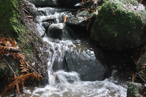 Rocky Creek Art Garden B&B - Hervey Bay Accommodation 4