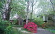 Rocky Creek Art Garden B&B - thumb 5