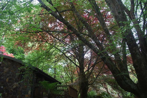 Rocky Creek Art Garden B&B - Hervey Bay Accommodation 2