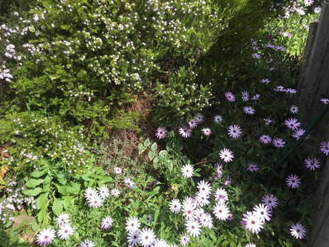Nest On A Crest - Tourism Hervey Bay 4