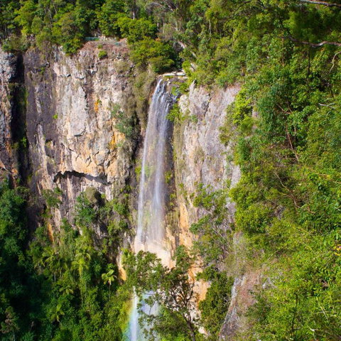The Sanctuary At Springbrook - Hervey Bay Accommodation 5