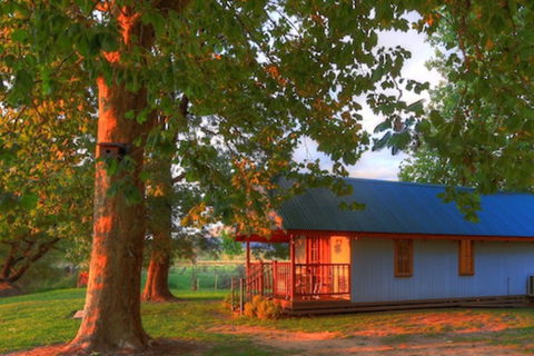 Colac Colac Caravan Park - Hervey Bay Accommodation 5