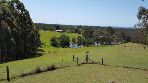 Blueberry Hills On Comleroy - Hervey Bay Accommodation 4